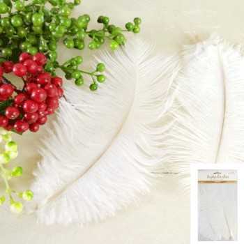 View Feathers 3pk White Sophisticates